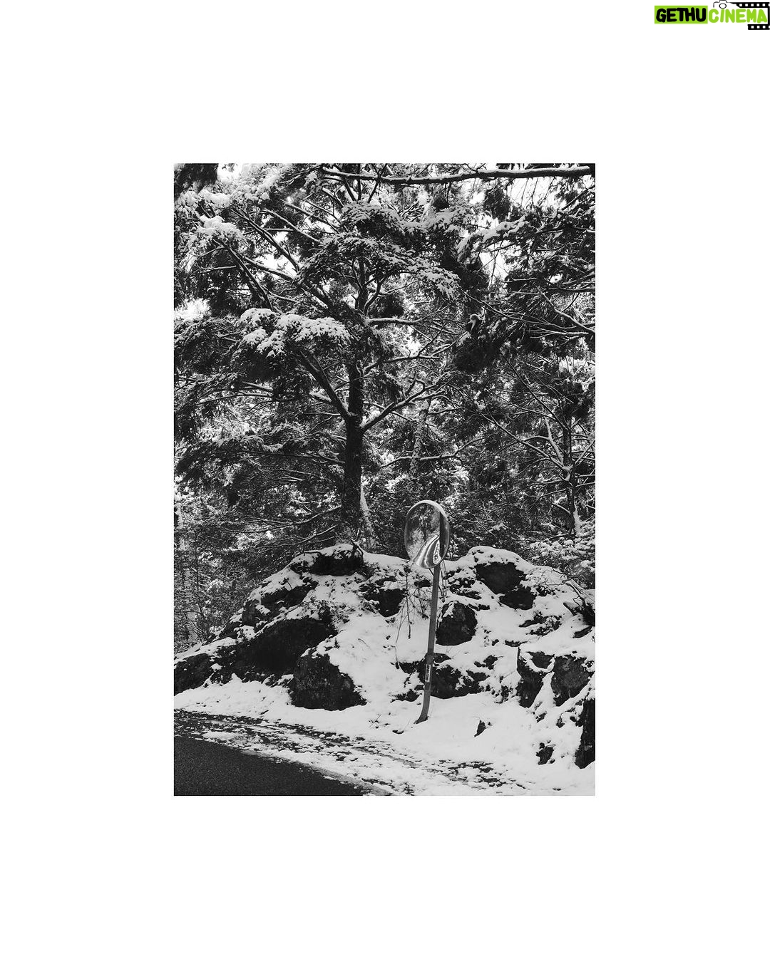 Allison Lin Instagram - 謝謝你們今天來One Art展覽搶先看我今年全新的攝影作品系列《Passage》(路徑),也謝謝今天收藏作品的藏家,希望今天的分享與交流有帶給各位新的生命靈感,接下來我就要來全力準備個展了~ 個展日期是2/22,為期一個月,地點在大稻埕一個充滿古典氣息的酒吧「Antique Bar 1900」,將會展出更多同系列的攝影作品。更多詳情可以請洽這次負責照顧我的藝廊 @veart.fr 。 期待屆時見到各位! #passage #passageexhibition #路徑 #路徑攝影展