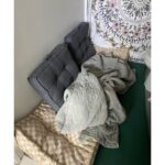 Allison Tolman Instagram - You’re supposed to do color correction in as dark a room as possible. So when you self produce and won’t be visiting a studio for post production, the obvious move is to create a cozy nest in your guest bathroom where you can sit for hours with two talented friends, a bunch of snacks, and your increasingly concerned cat. We’re making it work this #FemaleFilmmakerFriday🎥 Shout out to @calvinbellas - doing the real work over zoom. ❤️