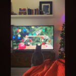 Allison Tolman Instagram - We’re good over here.