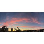 Allison Tolman Instagram - 11/11/22