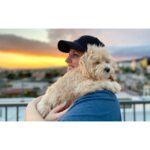 Allison Tolman Instagram - Sunday sunset with Nell and my Dog Nephew, Moliere. 😍