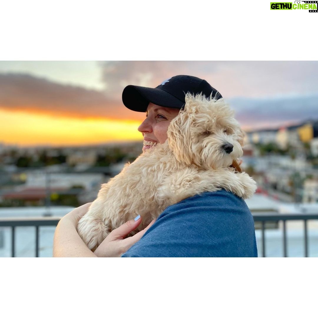 Allison Tolman Instagram - Sunday sunset with Nell and my Dog Nephew, Moliere. 😍