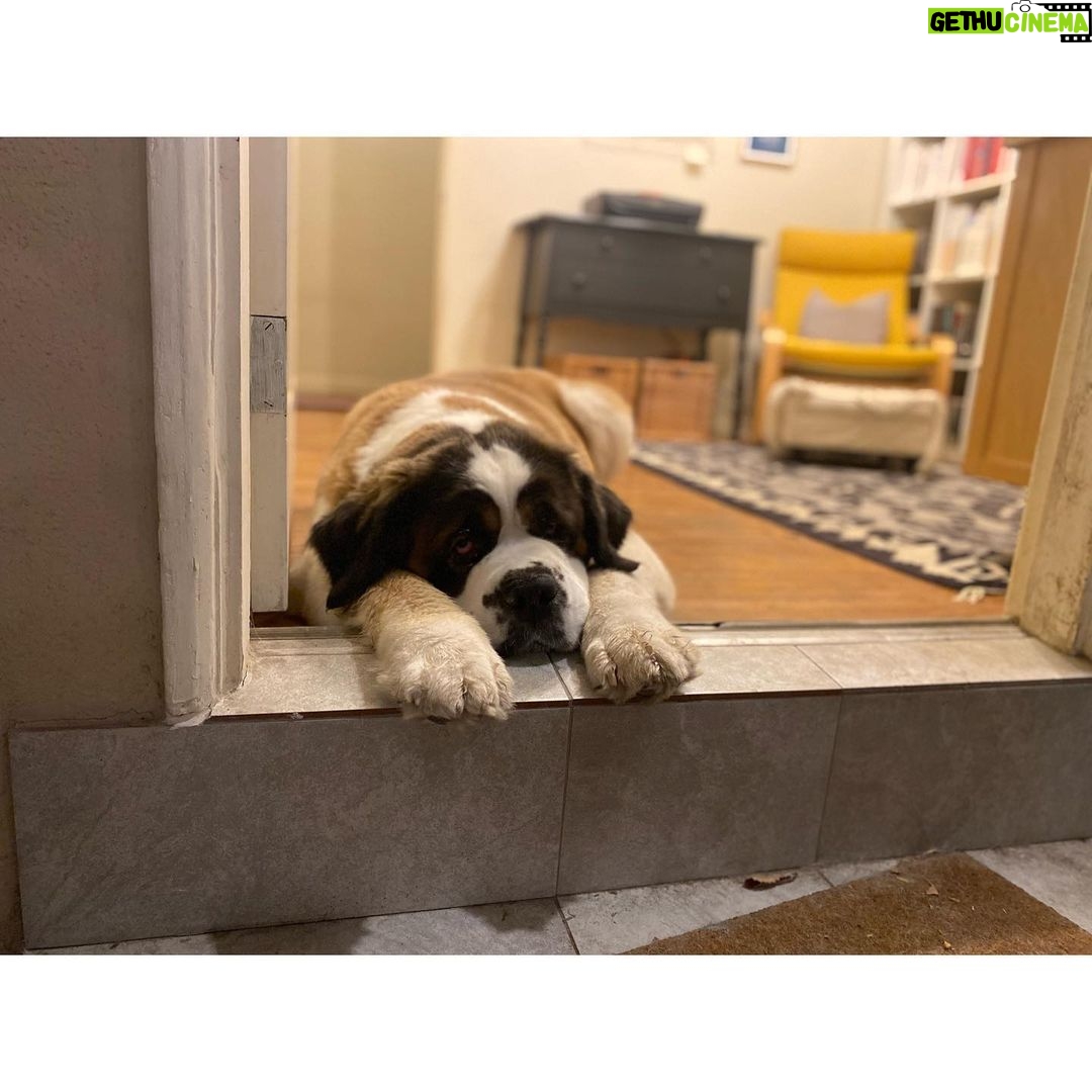 Allison Tolman Instagram - Would you like to see the very best girl? #DearPrudence