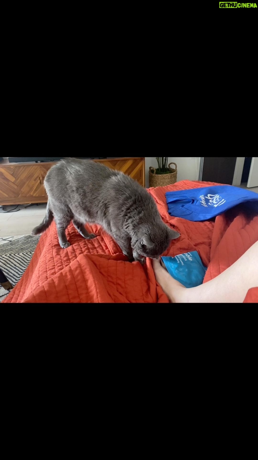 Allison Tolman Instagram - Stubbed the hell out of my little toe at Trader Joe’s. Bud is concerned about my treatment plan.