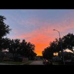 Allison Tolman Instagram – 11/22/23 – Sugarland, TX