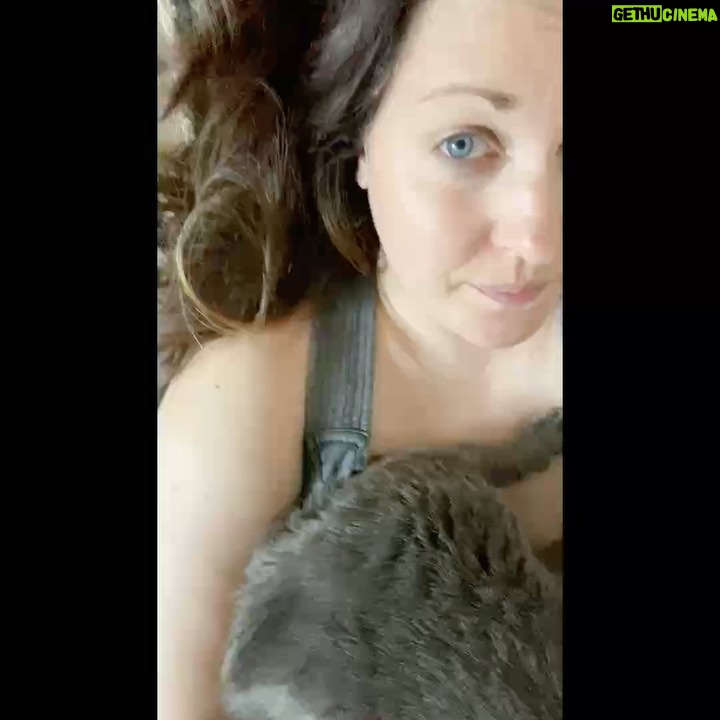 Allison Tolman Instagram - Right now most things seem really, very bad. But this cat taking an obscenely noisy bath on top of me is pretty okay.