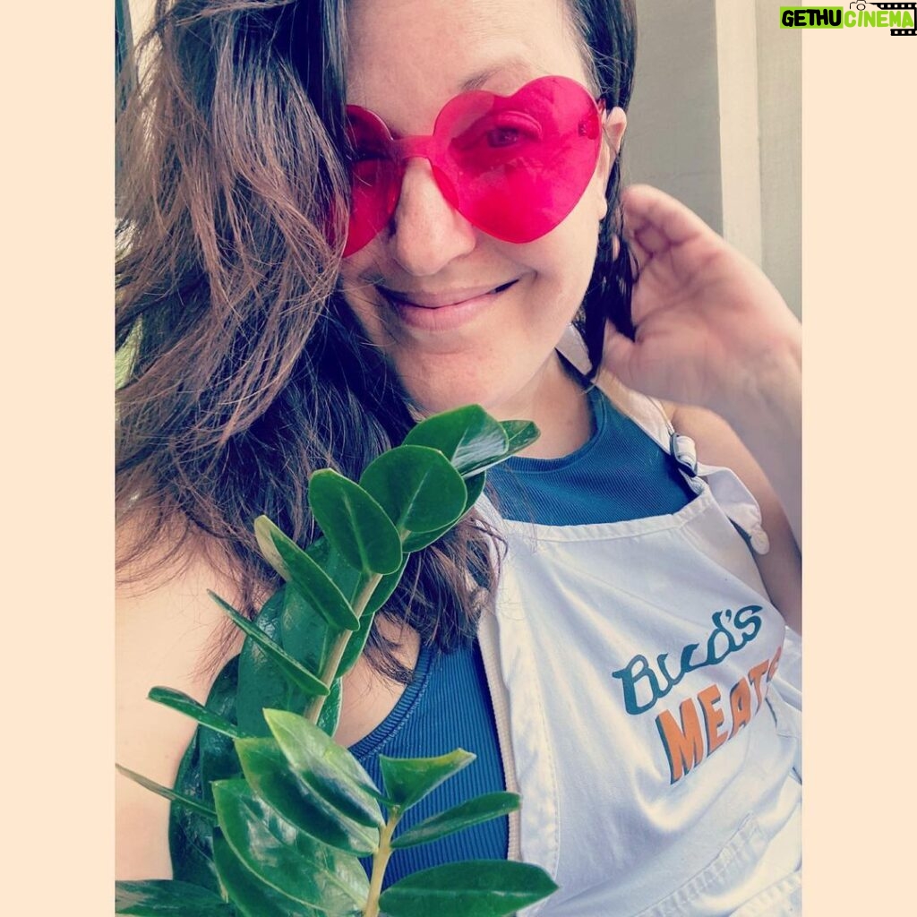 Allison Tolman Instagram - ⠀ Gardening* day! ⠀ ⠀ ⠀ ⠀ *replacing murdered houseplants