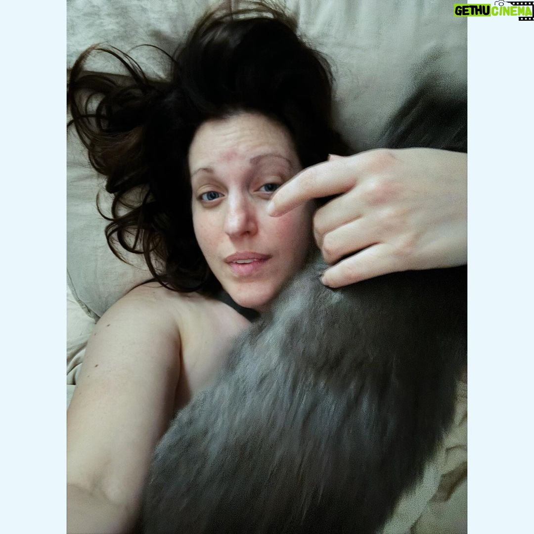 Allison Tolman Instagram - Portrait of a cat mom at breakfast time.