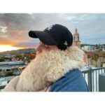 Allison Tolman Instagram - Sunday sunset with Nell and my Dog Nephew, Moliere. 😍