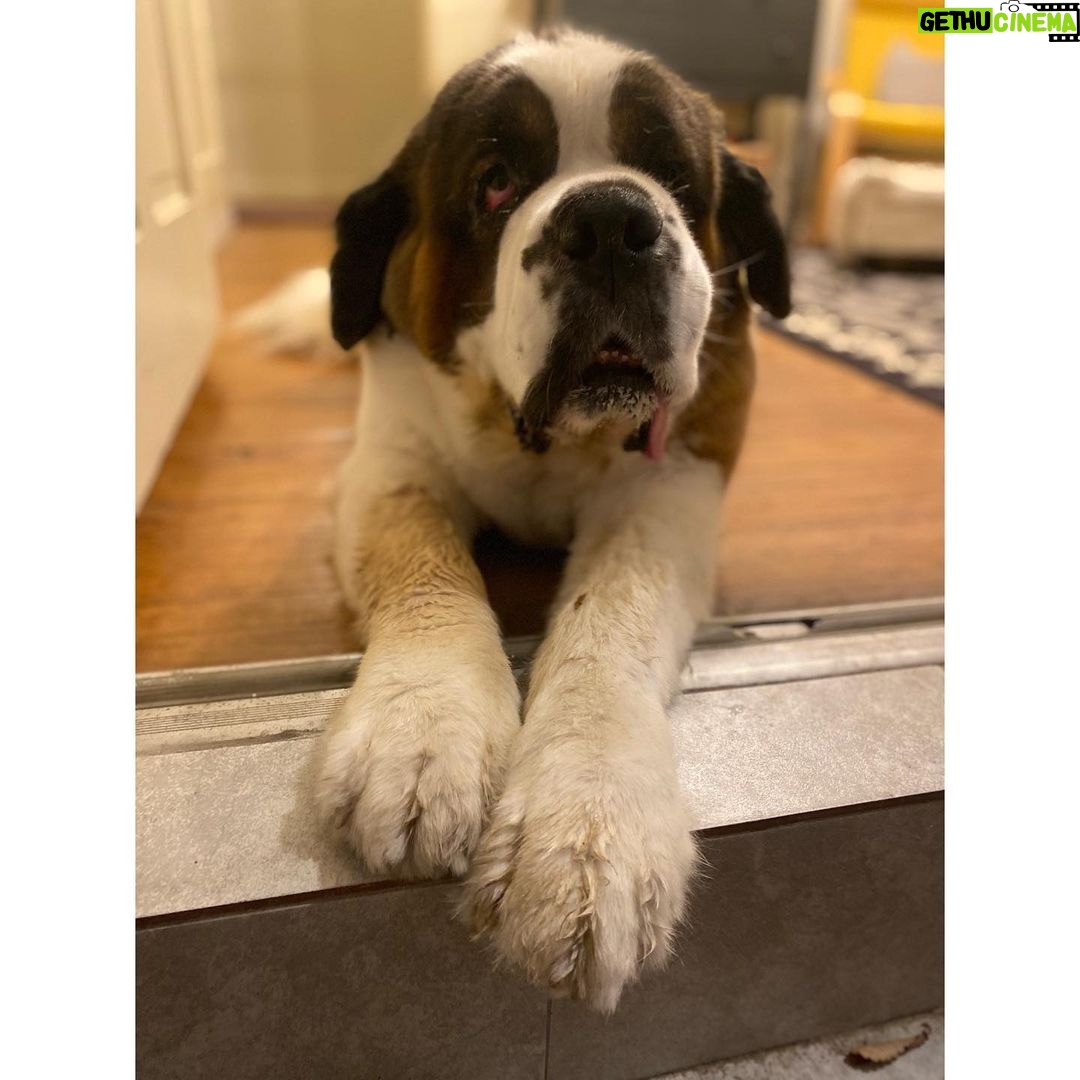 Allison Tolman Instagram - Would you like to see the very best girl? #DearPrudence