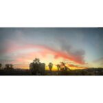 Allison Tolman Instagram - 1/30/24