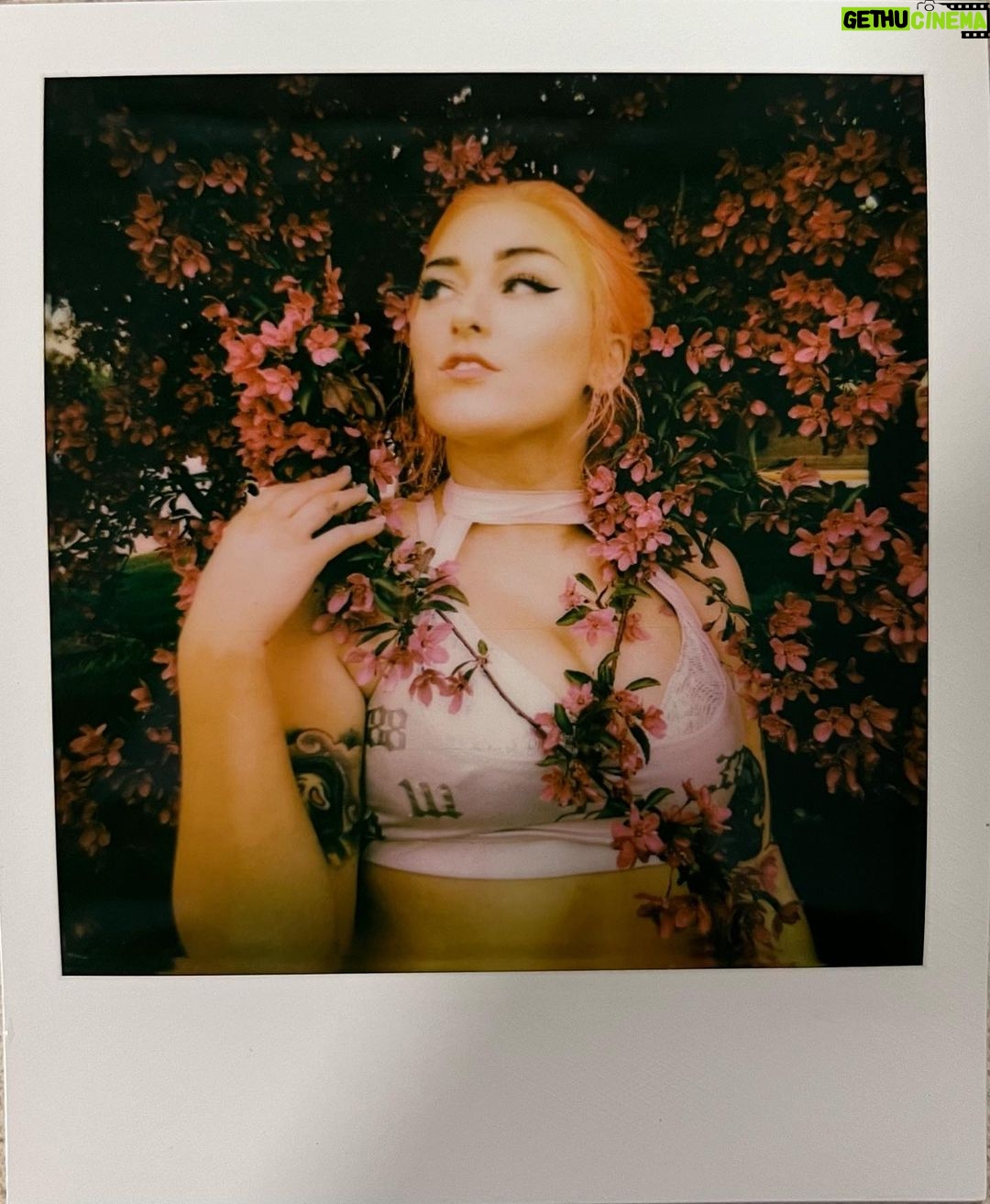 Allison Woodard Instagram - and you don’t even feel a thing . . . . #alliekatch #wrestling #womenswrestling #intergenderwrestling #deathmatchwrestling #tagteamwrestling #bussy #film #polaroid #duvet