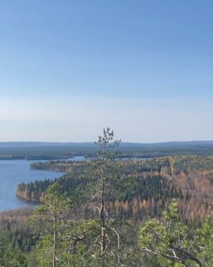 Alma Hätönen Instagram - Kuten te tiedätte Jaakon perheen Lapin mökki on ollut mun turvapaikka viimeiset melkein 8 vuotta. En voi missään niin hyvin kuin siellä. 🥹

Tultiin viikko sitten Helsinkiin ja mulla meni heti unet. Siis lähes kokonaan ja koko viime viikoksi. Hermosto on oppinut, että täällä Helsingissä normaali olotila on ylivireys ja ylikuormitus ja keho hakeutuu siihen automaattisesti.

Joten heitän nyt universumille pyynnön mahdollisuudesta muuttaa elämän painotus sellaiseksi, että sen sijaan, että asun Helsingissä ja käyn Lapissa lepäämässä niin arki olisikin suurimmaksi osaksi Lapissa ja tulisin säännöllisesti Helsinkiin käymään tekemään hommia💜 Että suhde olisi 70-30 näin päin. Kaipaan hitaampaa elämän rytmiä. Ultimaattisena haaveena olisi joskus löytää paikka Ylläksen läheisyydestä. 
 
Tämä haave vaatii monta muutosta onnistuakseen ja vie varmasti kauan ennen kuin olisi käytännössä mahdollista. Yhtenä muutoksena sen, että voisin tehdä mun työtä Helsingin lisäksi pohjoisesta käsin. Eli jos on mielessä yhteistöitä, media-alan töitä tai muita projekteja Lapin suunnalla, huikkaa mulle!🤩 (Saa toki huikata myös Helsingissä olevista hommista ens vuodelle💜)

Toistaiseksi vaan heitän tän maailmalle näin tuosta noin vain ja odottelen. Menee siihen vuosi tai viisi niin ehkä joskus vielä ✨