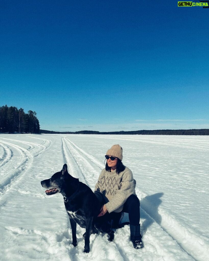 Alma Hätönen Instagram - Käytiin viihtymässä tässä mökin järvellä järkättävissä perinteikkäissä pilkkikisoissa. Ite keskityttiin kyllä lähinnä paikallisten kanssa höpöttelyyn ja vohveleihin🧇 Shanti oli taas good boy 🐶 Lappi