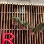 Alp Akar Instagram -