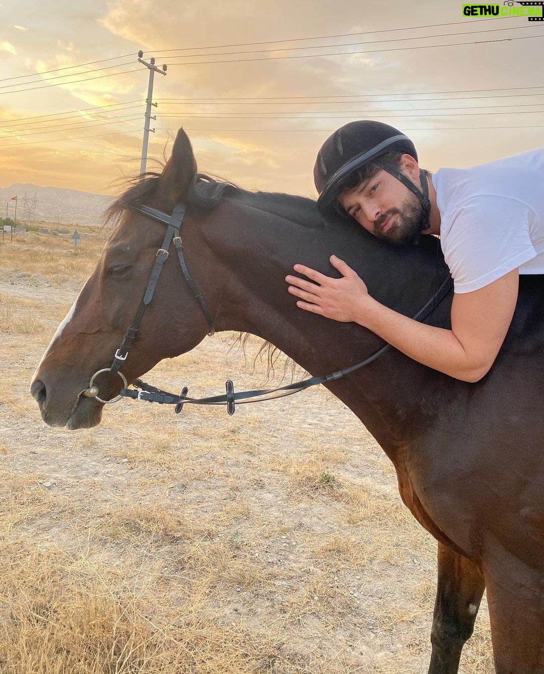 Alp Navruz - 385K Likes - #lovely 🖤