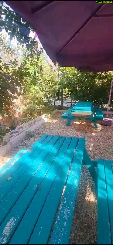 Alpaslan Özmol - 451 Likes -