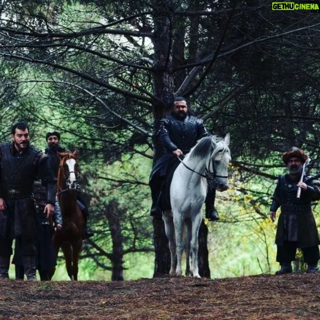 Alpaslan Özmol - 1.4K Likes -