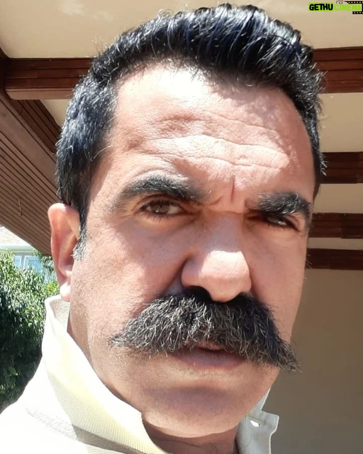 Alpaslan Özmol - 739 Likes -