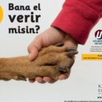 Altan Erkekli Instagram - Patipark’ın 2021 yılı takvimlerinde Şans ve ben de yer aldık. Siz de bir takvim alıp yardıma muhtaç minik dostlarımıza destek olmak ister misiniz ? @patiparkankara @kataleandlame