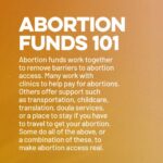 Alysia Reiner Instagram - WE WILL NEVER STOP. Staying focused, determined, hopeful. Now more than ever, we are proud to partner with the NNAF in support of their essential work providing safe access to abortion. 20% of profits from sales of the Dissent II necklace will be donated to @abortionfunds Worn here by the radiant Alysia Reiner, the Dissent II is a tribute to the life and legacy of Ruth Bader Ginsburg. #weDISSENT  To learn more about @abortion funds, please visit abortionfunds.org If buying a necklace isn’t your thing but supporting abortion rights is, please consider giving any amount directly to their mission. Necklace by @gabymossdesigns Model: @alysiareiner Photographer: @cindytrinh.photo Make up Artist: @lookshoshana Hair Stylist: @jimenamuanyc Production: @ali_gramz #Dissent #DissentNecklace #ReproductiveRights #AbortionRights