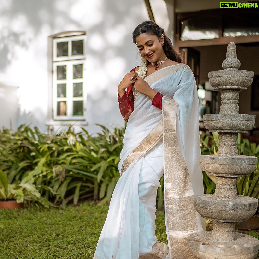 Amala Paul Instagram - "A Tapestry of Traditions unfolds: Onam's Graceful Embrace." Wishing you all a happy Onam🌼🌸 Camera @clickwithhitesh MUA @ashna_aash_ Outfit @cafefashion_by_remya_nair Jewellery @m.o.dsignature #onam #festivevibes #onamvibes #festiveClicks #instantmoments #onamcelebration #trending #onamsaree #kerala #onam2023 Old Harbour Hotel, Kochi, India