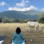 Amala Paul Instagram – #Meditation with a view 😇 #shambhavimahamudra #bliss #cattleofisha #innerengineering Isha Yoga Centre, Coimbatore