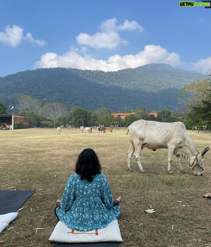 Amala Paul Instagram - #Meditation with a view 😇 #shambhavimahamudra #bliss #cattleofisha #innerengineering Isha Yoga Centre, Coimbatore