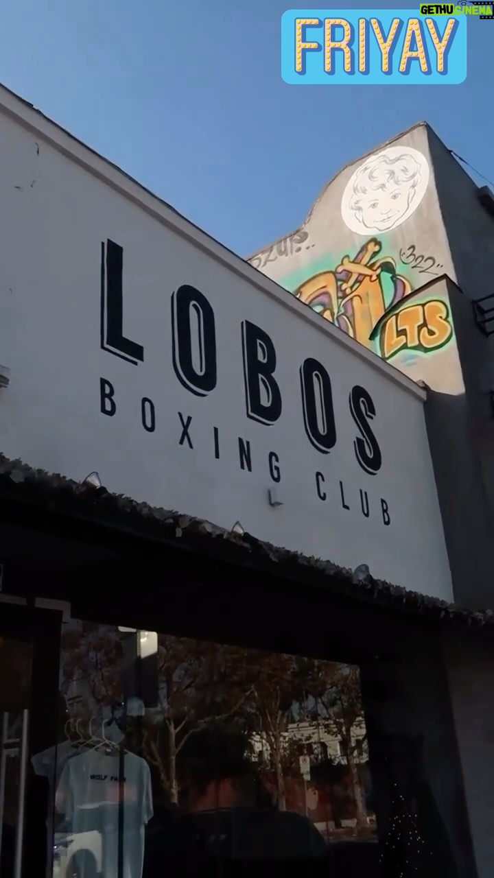 Amanda Righetti Instagram - #fridayvibes @lobosboxingclub