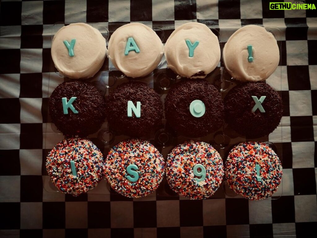 Amanda Righetti Instagram - Yay! Knox is 9! 🧁🥳🎉