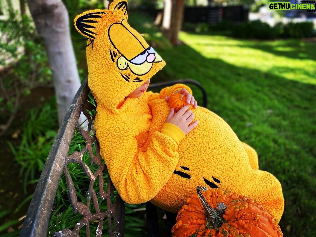 Amanda Righetti Instagram - Happy Halloween! 🎃 #mondaymood #lazycat #trickortreat