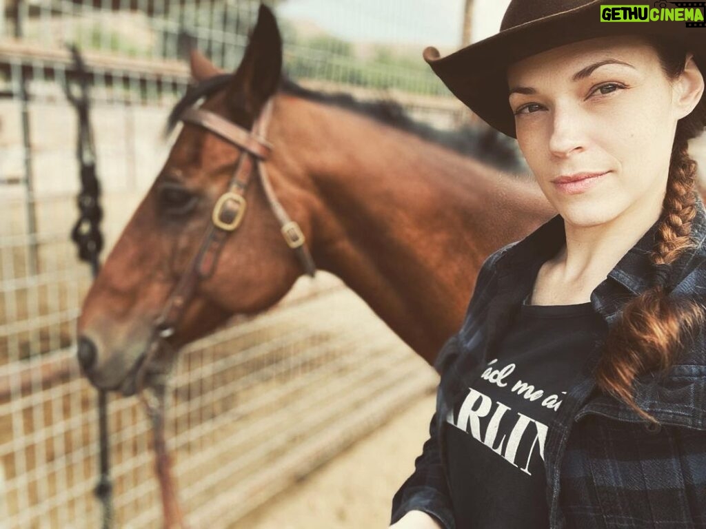 Amanda Righetti Instagram - Getting back on the horse #sundayfunday #newproject #farhaven 🎥🎬🐎