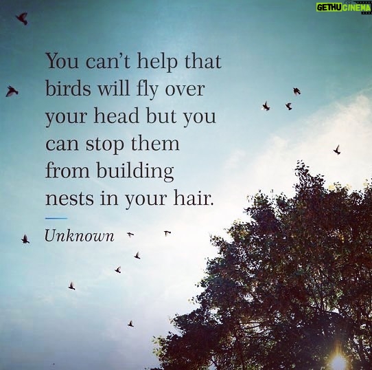Amanda Righetti Instagram - #wednesdaywisdom