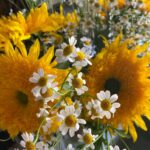 Amanda Righetti Instagram - Have a beautiful week! #sunflowersandchamomile 🌻