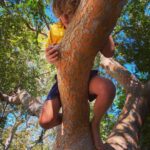 Amanda Righetti Instagram - Nurture nature. 🌳 #happyearthday 🌎