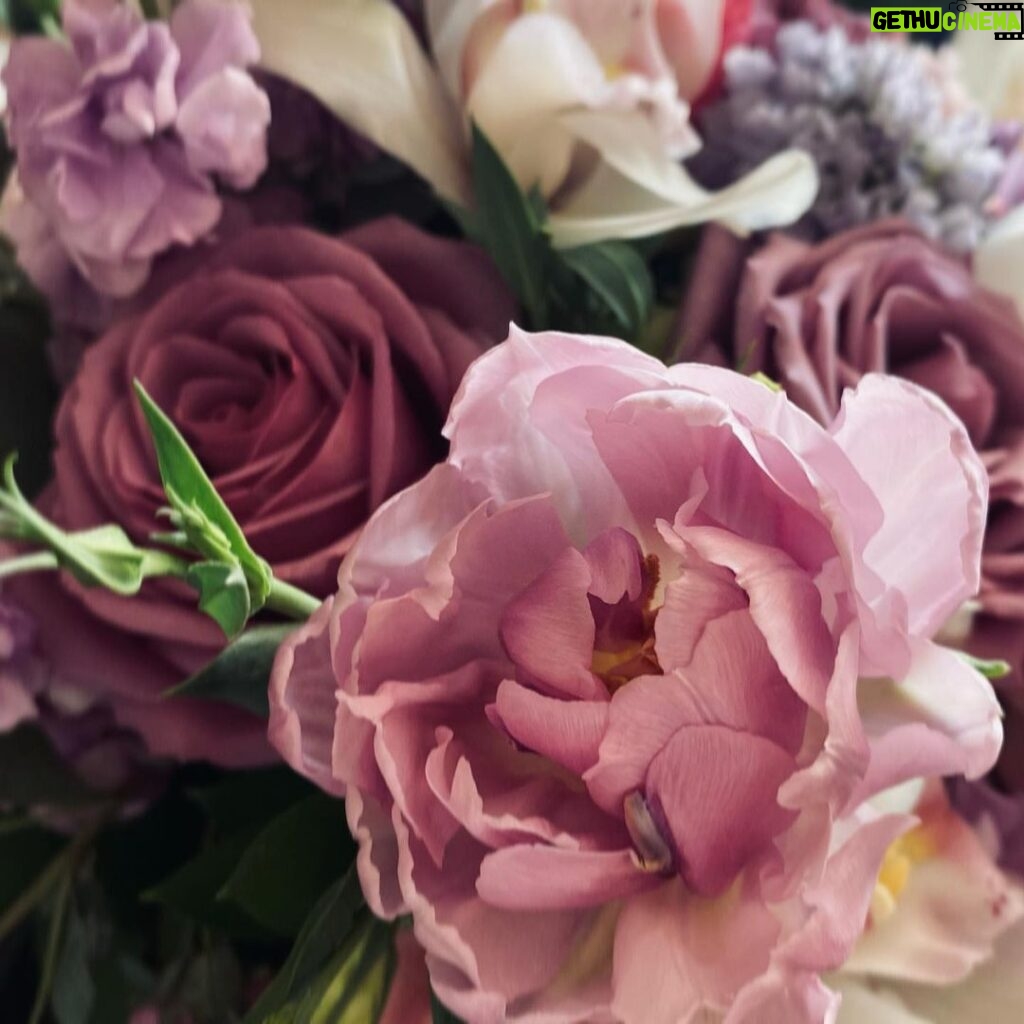 Amanda Righetti Instagram - Have a beautiful weekend!