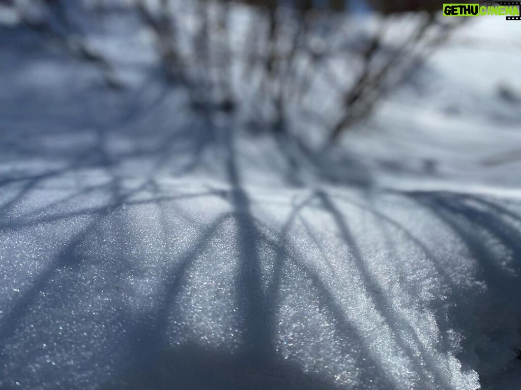 Amanda Righetti Instagram - Snow Shadows