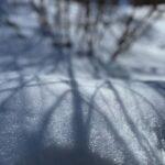 Amanda Righetti Instagram - Snow Shadows