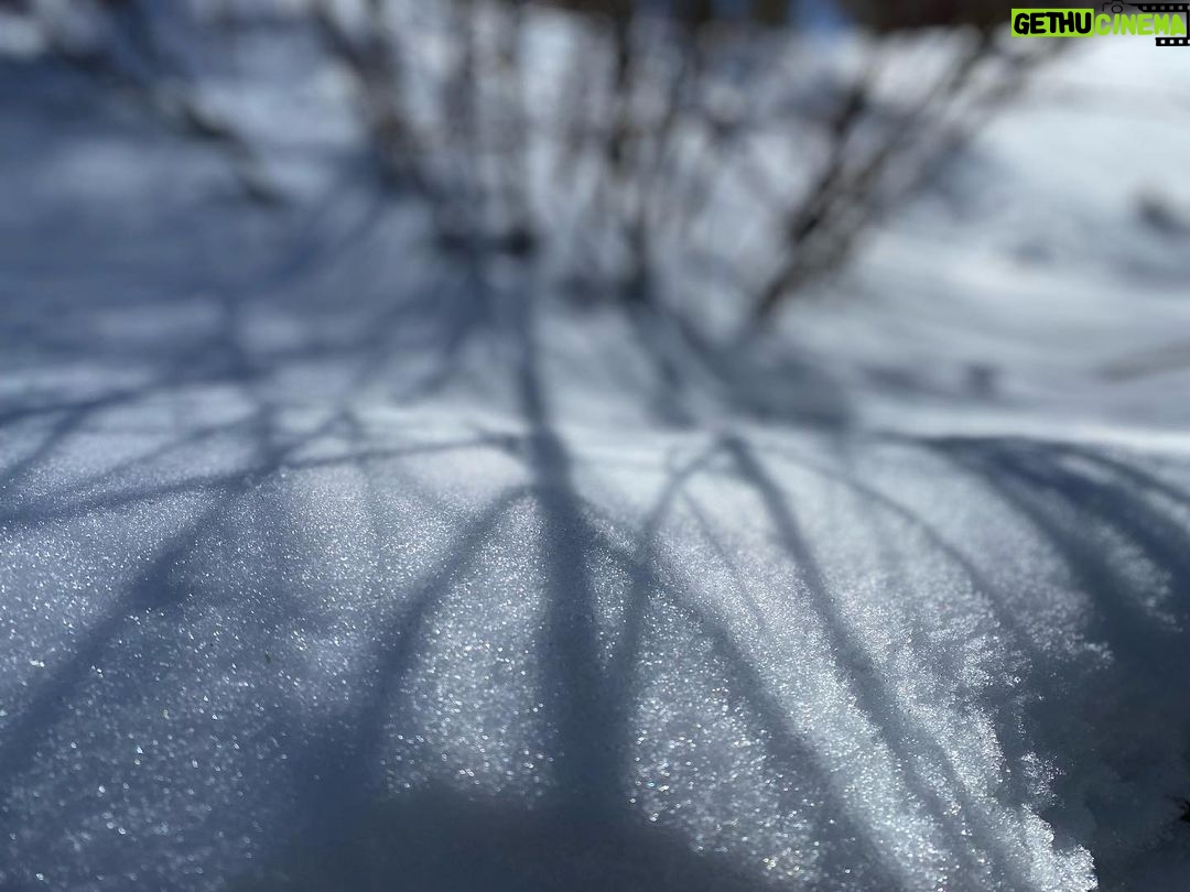 Amanda Righetti Instagram - Snow Shadows
