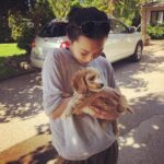 Amanda Zhou Instagram - Meet Axel everyone. The new love of my life. #puppylove #newpup #soprecious