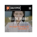 Amanda Zhou Instagram - Opening tomorrow night! The last month has been a wave of emotions for me, and I especially thank the love and support from my talented colleagues. Your strength is infectious. Congrats @inner.glo @bessie.cheng and @afatchineseboy for growing the original silk bath from fringe to now on soulpepper. What a journey! #process #theatre #torontotheatre #collectivecreations #asians #zhouxuan #thedistillerydistrict #support #strengthinnumbers @soulpeppertheatre Distillery District