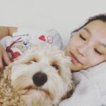 Amanda Zhou Instagram - When you are down, one of the best kind of cuddle buddy. . . . #thursdaytruth #cuddlebuddy #itsokaytonotbeokay #youarenotalone #dogsforlife