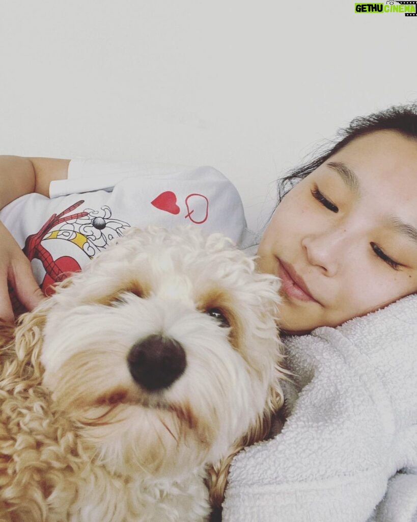 Amanda Zhou Instagram - When you are down, one of the best kind of cuddle buddy. . . . #thursdaytruth #cuddlebuddy #itsokaytonotbeokay #youarenotalone #dogsforlife