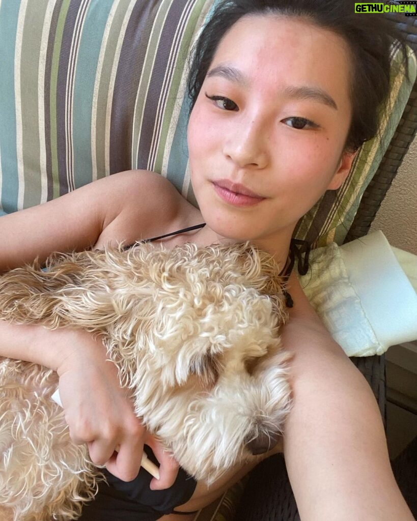 Amanda Zhou Instagram - He likes the smell of my armpits. . . . . #sundayfunday #suntime #summervibes #theamandazhou #spinningout #doglovers