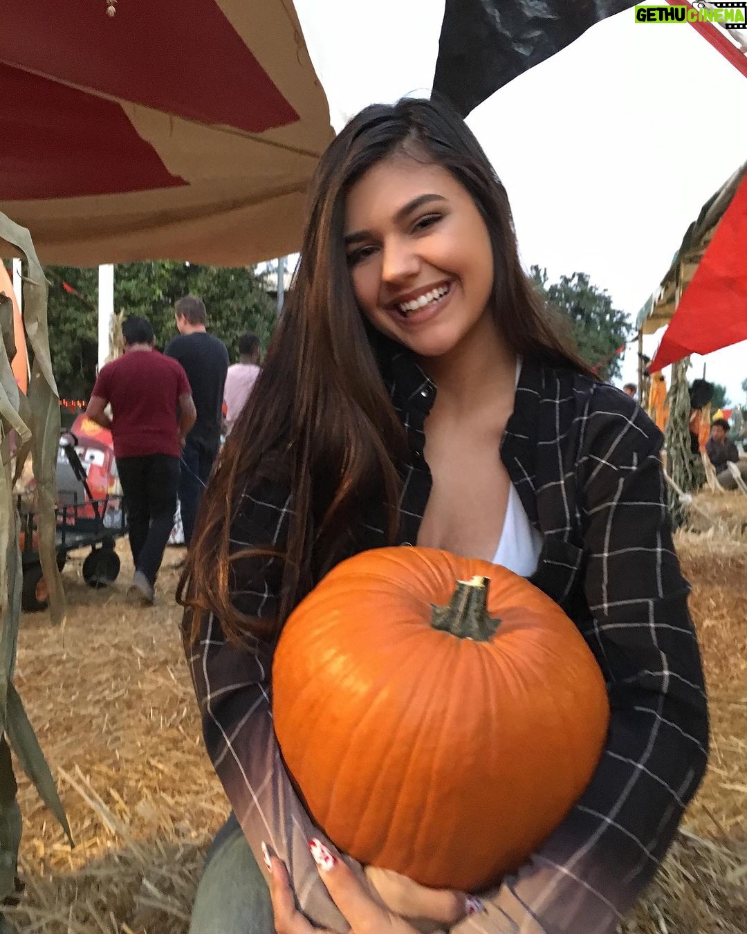 Amber Frank - 3.2K Likes - Happy spooky month π