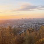 Amber Frank Instagram - Photo dump because life has been cute lately