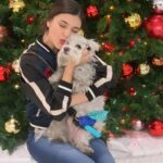 Amber Frank Instagram - One of the best gifts I got this year was getting to be your foster mommy and find you a forever home. I like to believe my baby Elvis sent you to me 🤍 Merry Christmas!