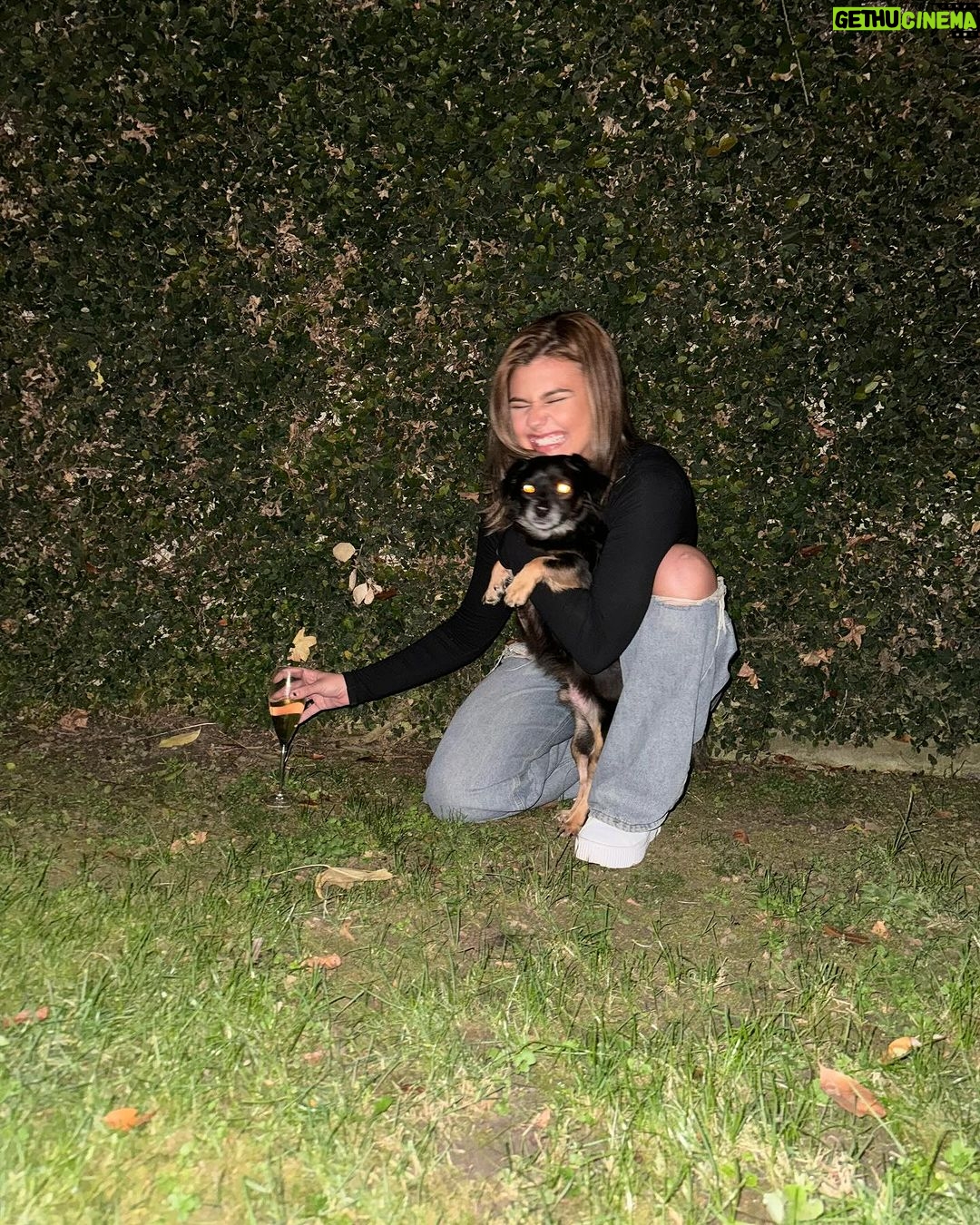 Amber Frank Instagram - My personality is loving my friends’ animals as if they are mine Los Angeles, California