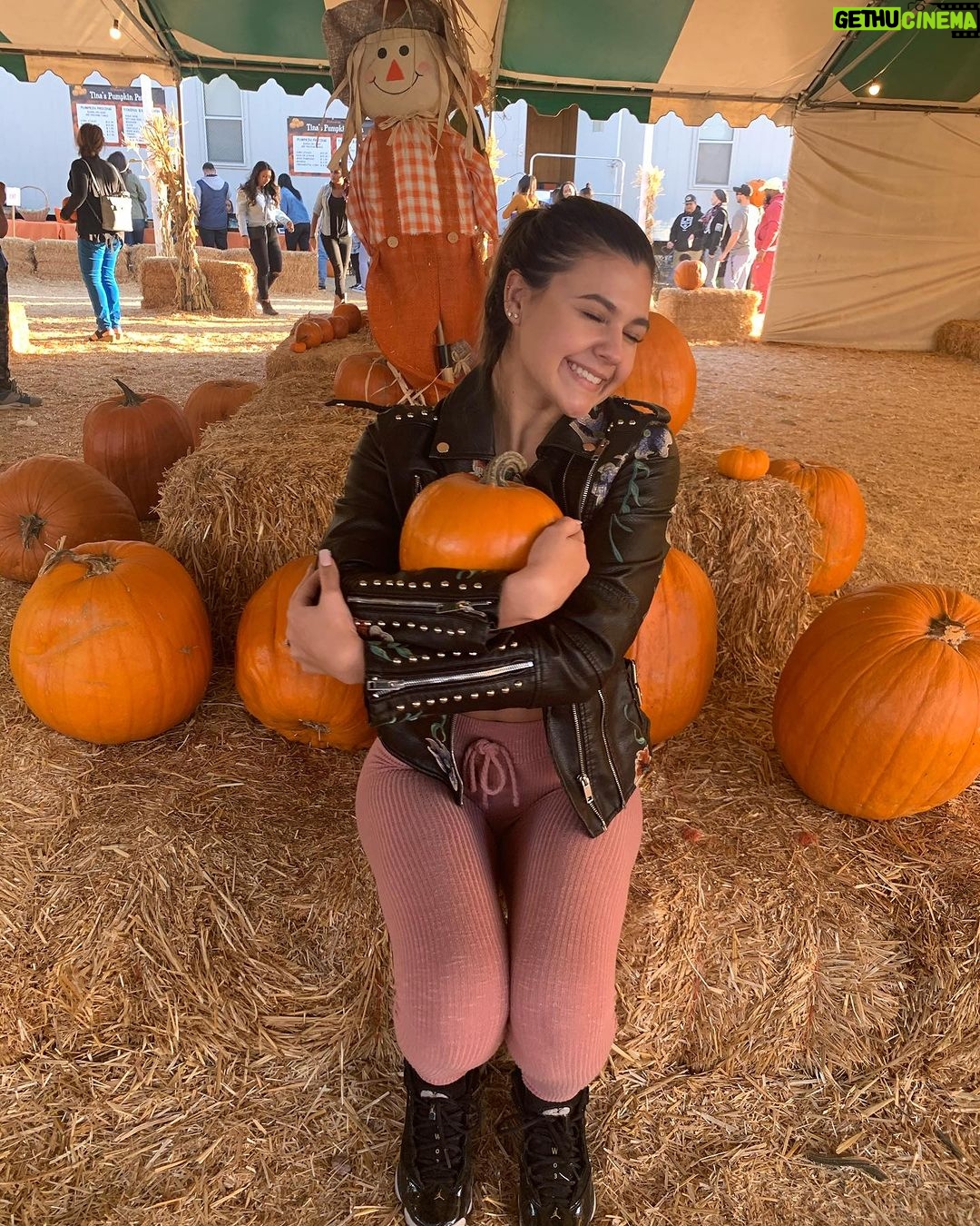 Amber Frank - 3.2K Likes - Happy spooky month π