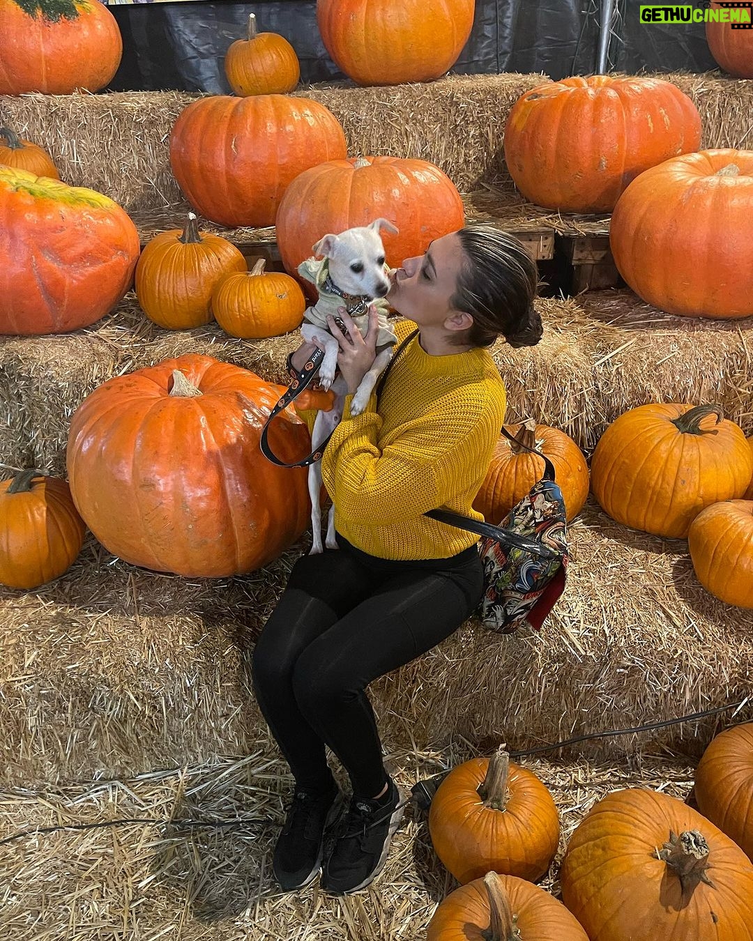 Amber Frank Instagram - Happy spooky month 🎃